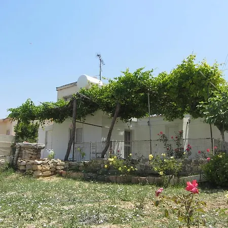Village House Maison d'hôtes *