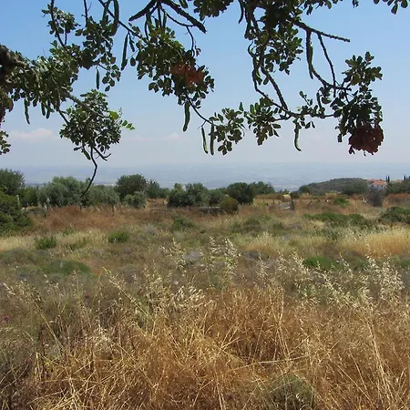 Village House Pensiune Pissouri